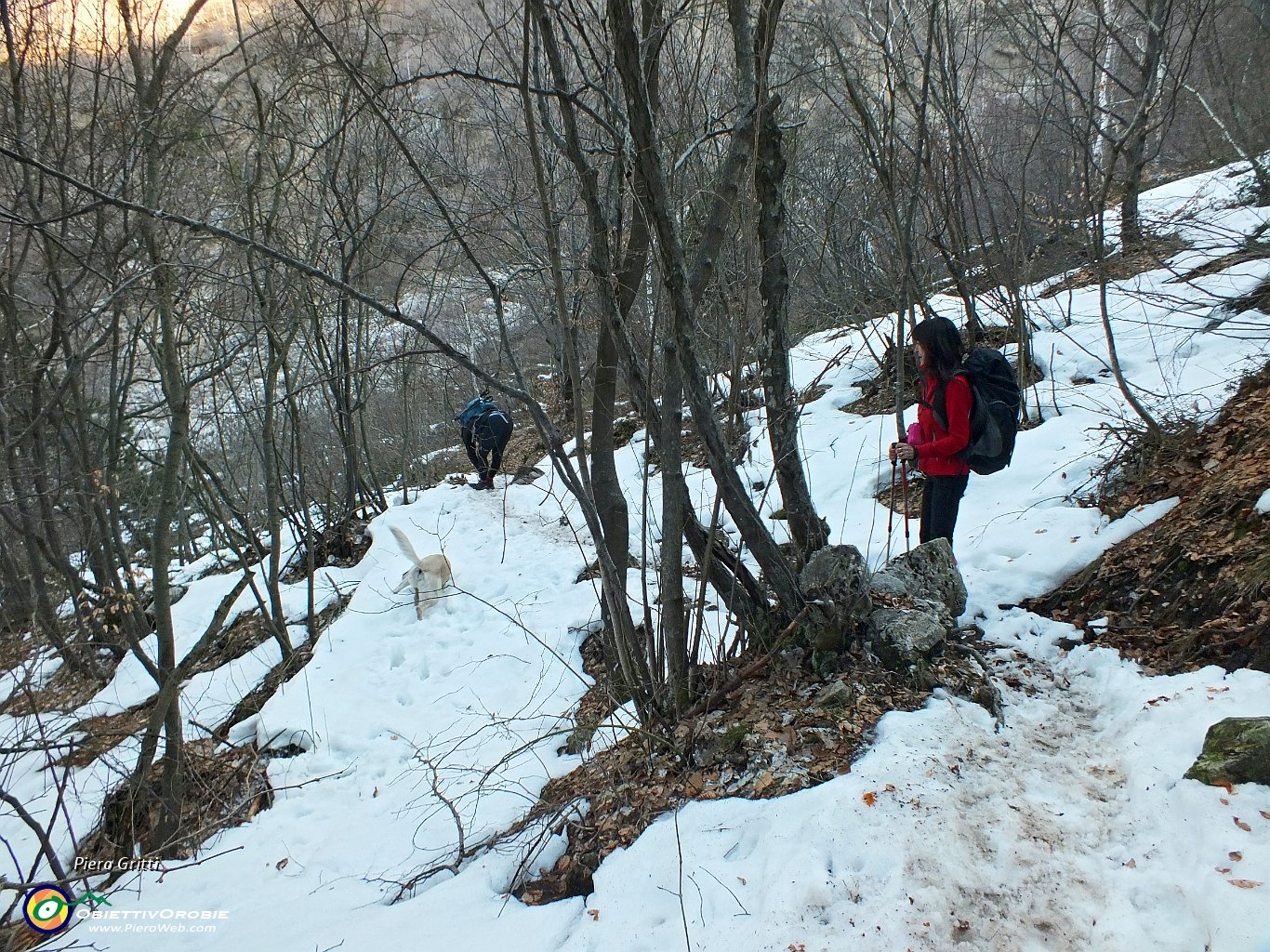 10 comincia la neve....JPG